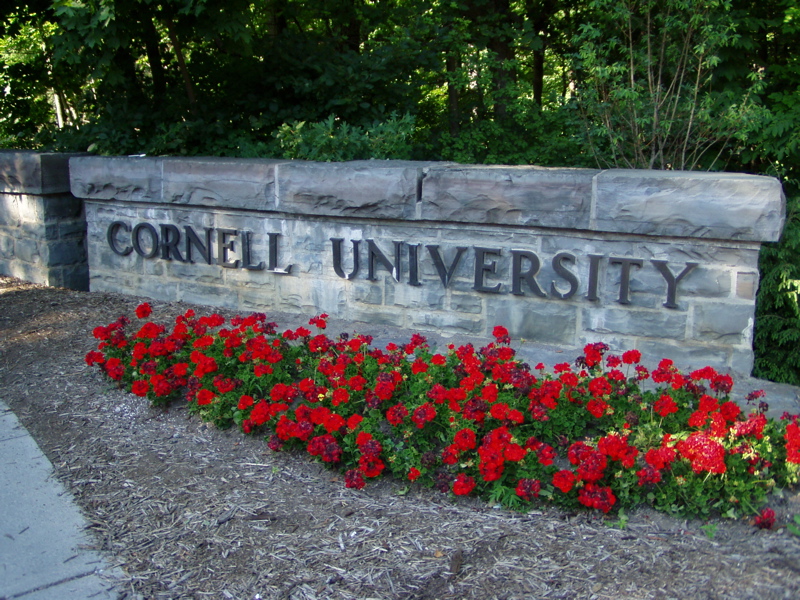 cornell-university-alumni